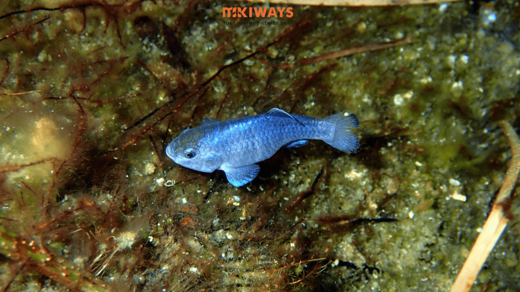 Hình ảnh này chưa có thuộc tính alt; tên tệp của nó là 16-1024x576.png