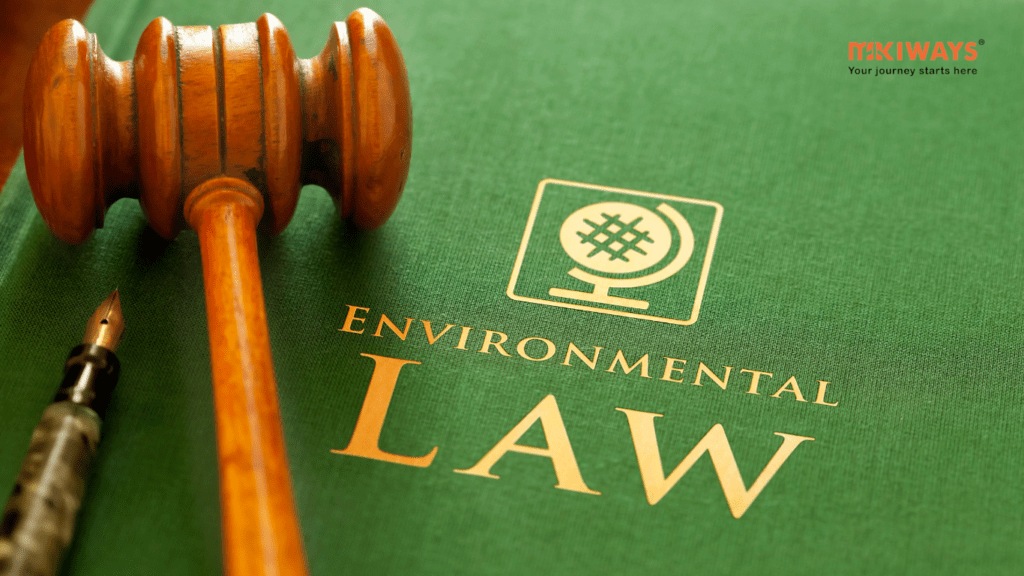 Thực tập ngành Luật tại Mỹ - Mikiways