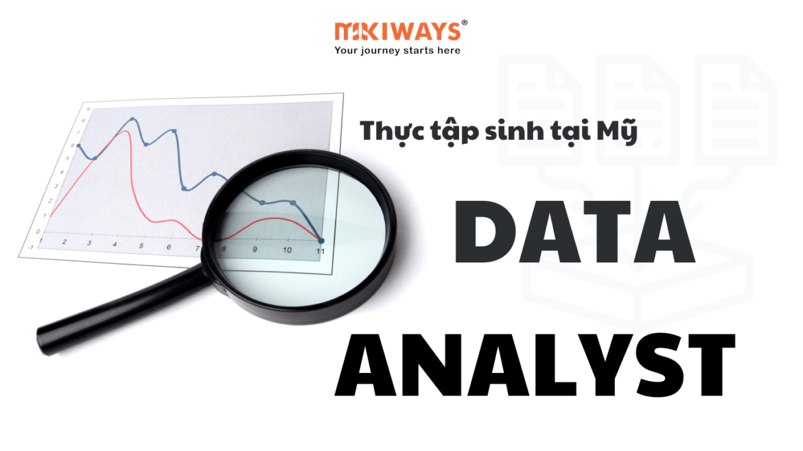 Thực tập hưởng lương tại Mỹ: Data Analyst - Phân tích dữ liệu - Mikiways