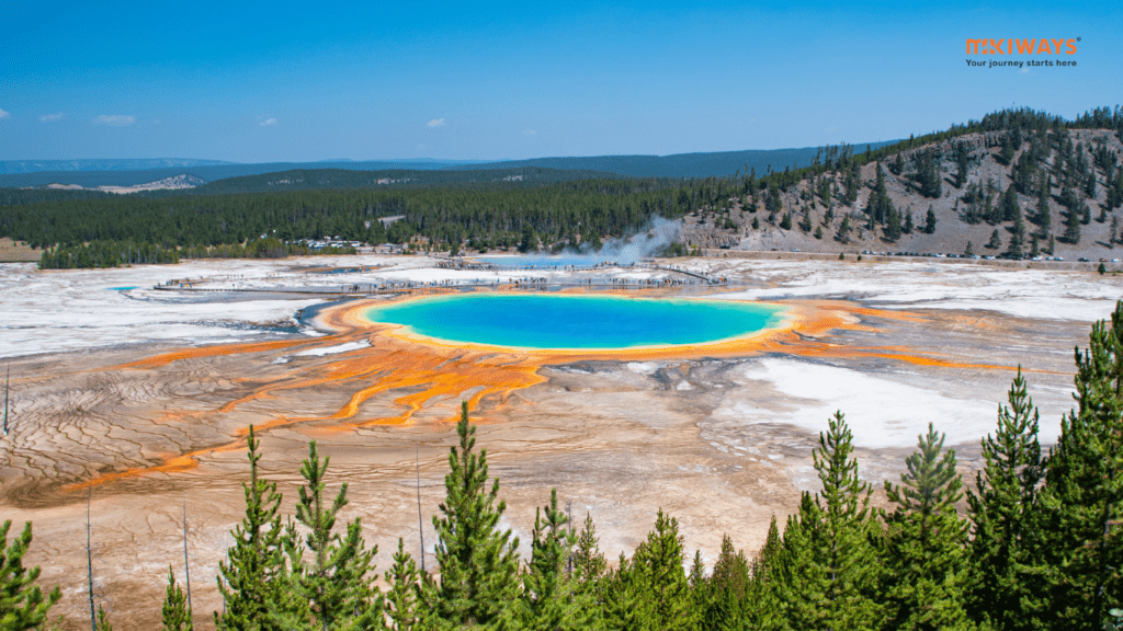 Yellowstone National Park Là nơi hiếm hoi có thể ngắm động vật hoang dã trong môi trường tuyết phủ.